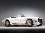 Shelby Cobra Mercer Roadster by Virgil Exner (CSX 2451) 1965 года